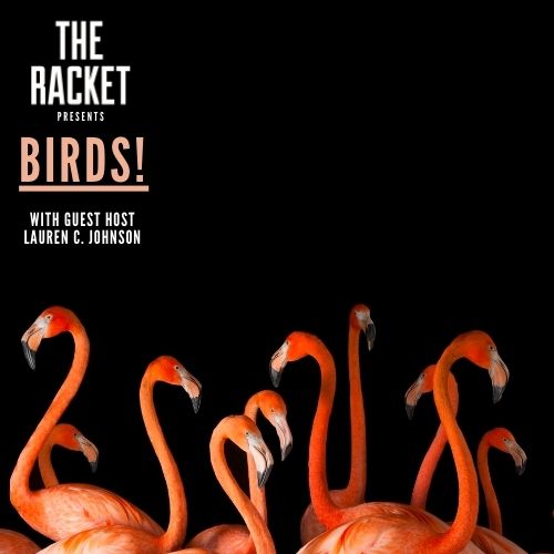 A poster that says "The Racket presents BIRDS! with guest host Lauren C Johnson."  There are 10 flamingos against a black background 