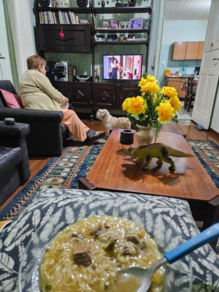 Fotografia ampla de uma sala de casa. No primeiro plano, um prato de sopa. No segundo plano, uma senhora de costas sentada assistindo à TV. No terceiro plano, a TV, onde passa uma cena com a personagem Maria de Fátima da novela Vale Tudo. A sala é repleta de móveis antigos, como a estante onde está a TV, que possui alguns retratos e livros. Ao lado da senhora, há um cachorro que a observa atentamente.