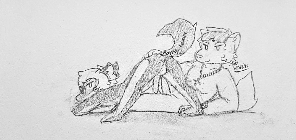 Planesonas of the Buccaneer and Canberra.
Buccaneer is resting on their crossed arms with their rear lifted and legs spread, erect penis hanging between, with tail raised.
Canberra is laying on their side behind Buccaneer, with a hand on Buccaneer's rear, erect.
