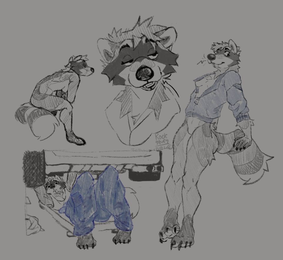 greyscale drawings of Audrey, a cinnamon raccoon in me and my husband's sci-fi world