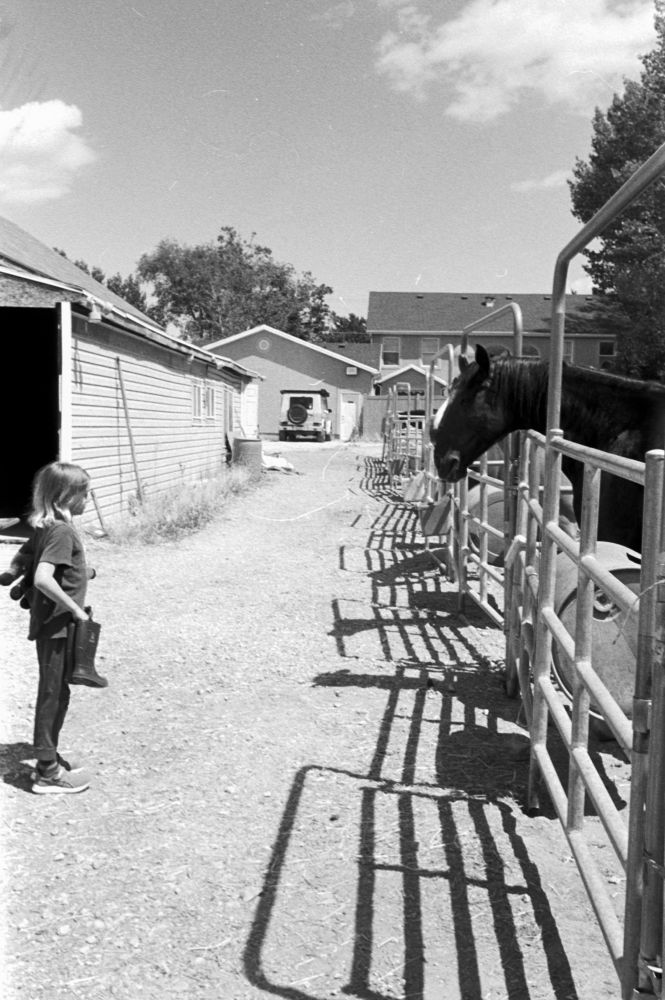 Black and white photo, outdoors, of a boy and two horses contemplating each other. The horses are in their stalls while the boy holds a pair of boots. 