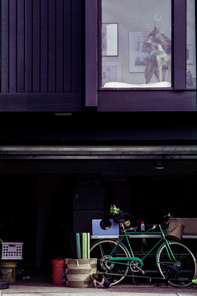 Color photo of a split level house with the garage door open. Above is a dog standing in the full-length window; below, in the garage, is a green bike and various other objects.