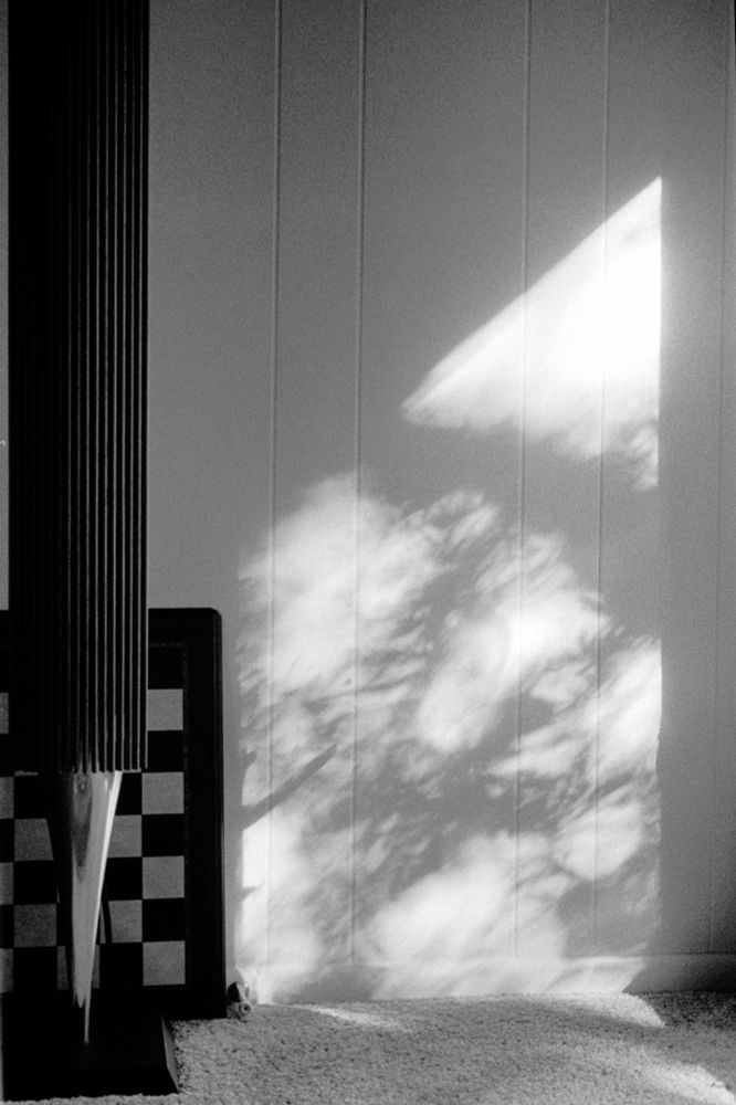 Black and white photo showing light reflected onto a wall, filtered through tree branches. On the left side of the image is a tall, slender speaker, and a chess board behind the speaker.