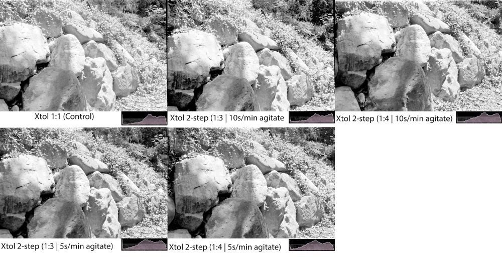 This is an experiment I did based on Bruce Barnbaum’s 2-step developer process he describes in “The Art of Photography.”

All images were shot within seconds of each other, so the difference is the developer.

Control was Xtol diluted to 1:1. 

The histogram shows the developed film’s density for the various developer levels.

The 2-step process works like this:
1. Full strength (no dilution) for 1m 30s
2. Agitate first 45s, rest final 45s
3. Pour out full strength & immediately pour in dilution (noted in image)
4. Develop for 8m 30s
5. Agitate first 30s, rest 1 full minute, then agitate at the top of every minute according to the schedule under each image
6. Normal stop + fixer baths at the end

I used a Paterson tank with the twirly stick (no inversions).