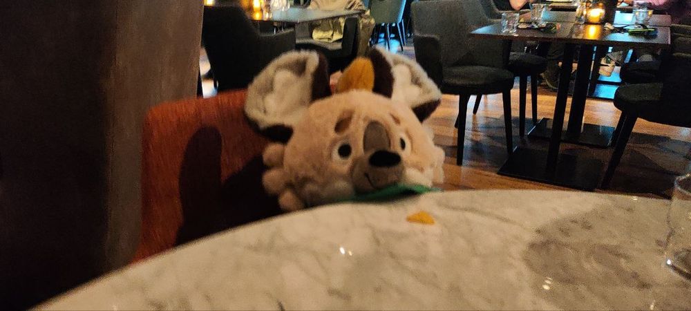 Chippie the hyena is having a nacho chip in the hotel