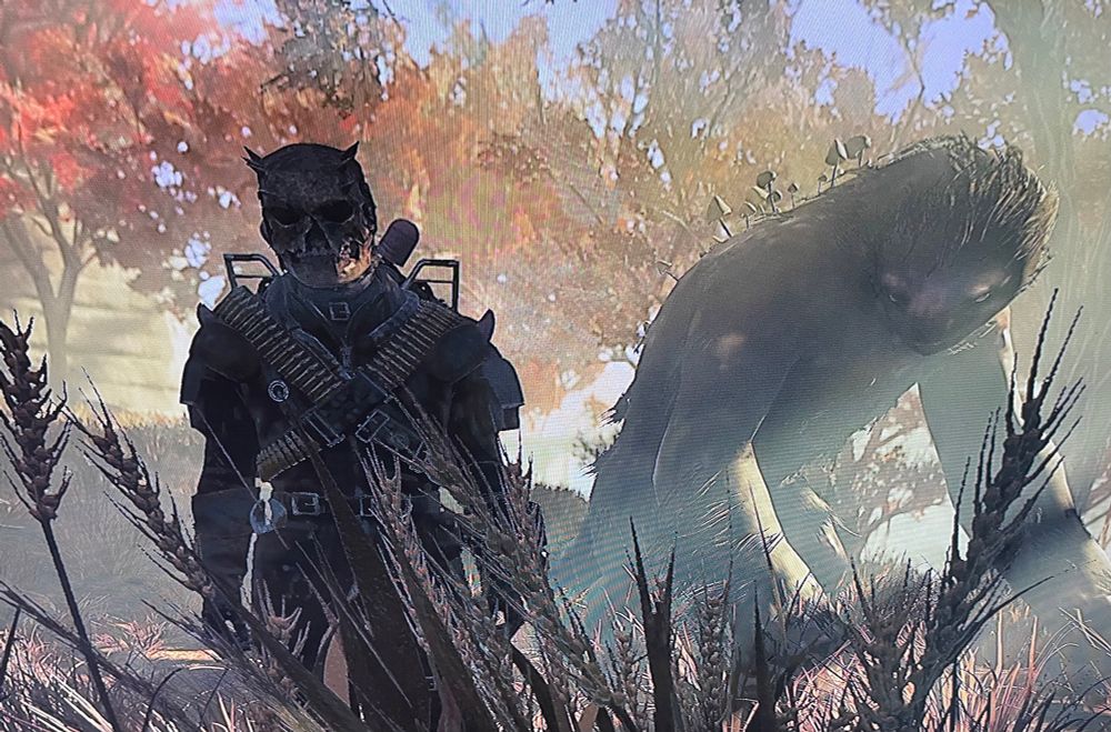 Photo of me and a megasloth in Fallout 76. 