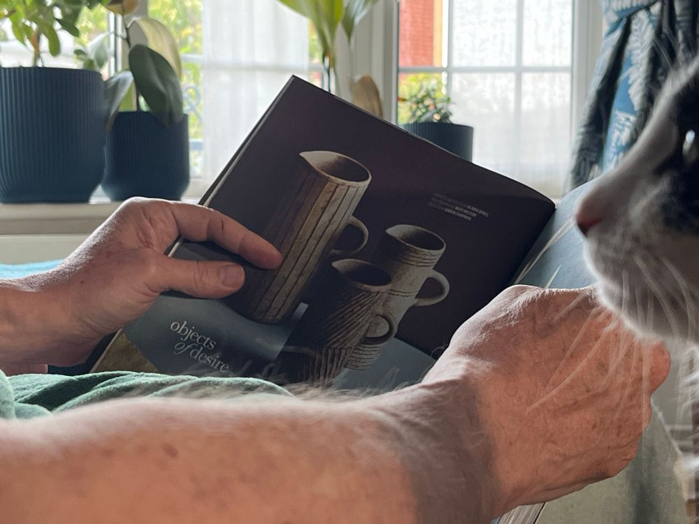 Colour photograph in shades of white, terracotta and blue. In the center of the image is an open magazine with the words “objects of desire”. Behind is a window sill with house plants. On the right is the side of the face of a black and white cat who stares adoringly at the man.
