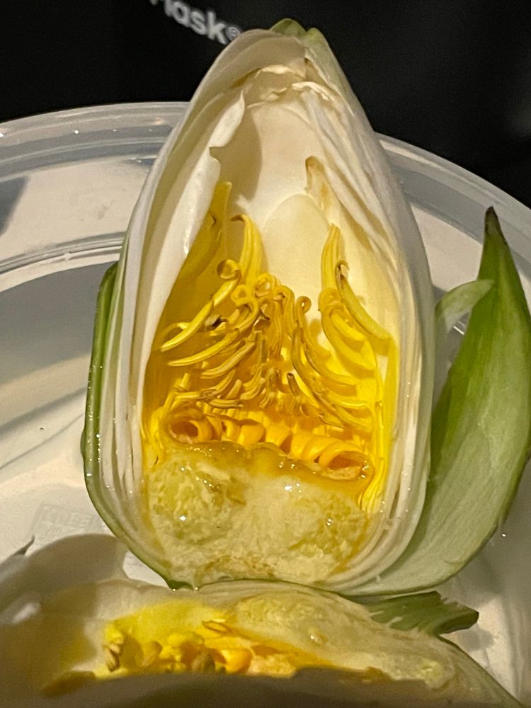 Cross-section closed up at night.
