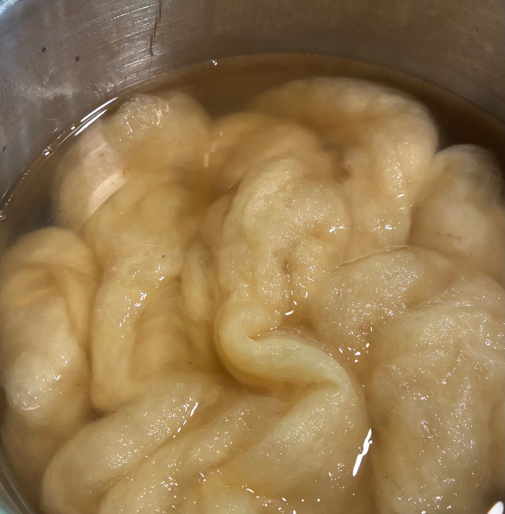 Mordanted wool soaking in the dye pot.