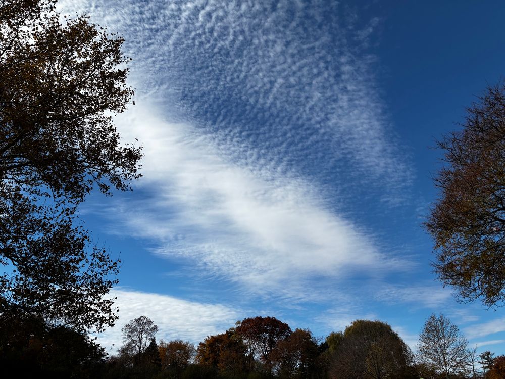 Beautiful blue sky with feathery clouds.