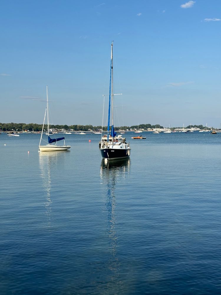lake view with forest on other side. plenty of boats lay in the water