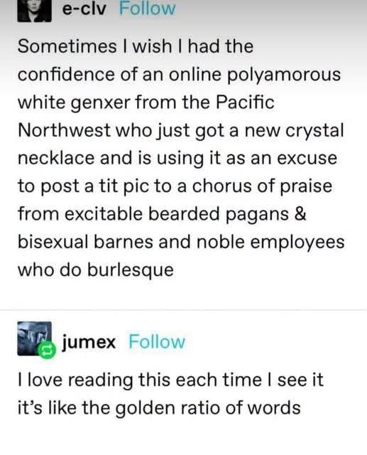Tumblr post by e-clv: Sometimes I wish I had the confidence of an online polyamorous white genxer from the Pacific Northwest who just got a new crystal necklace and is using it as an excuse to post a tit pic to a chorus of praise from excitable bearded pagans and bisexual Barnes & Noble employees who do burlesque. Jumex: I love reading this each time I see it. It's like the golden ratio of words.
