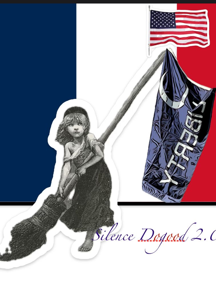 Wikipedia Les Mis photos public domain 

https://en.wikipedia.org/wiki/Les_Mis%C3%A9rables

Digital art screengrabs