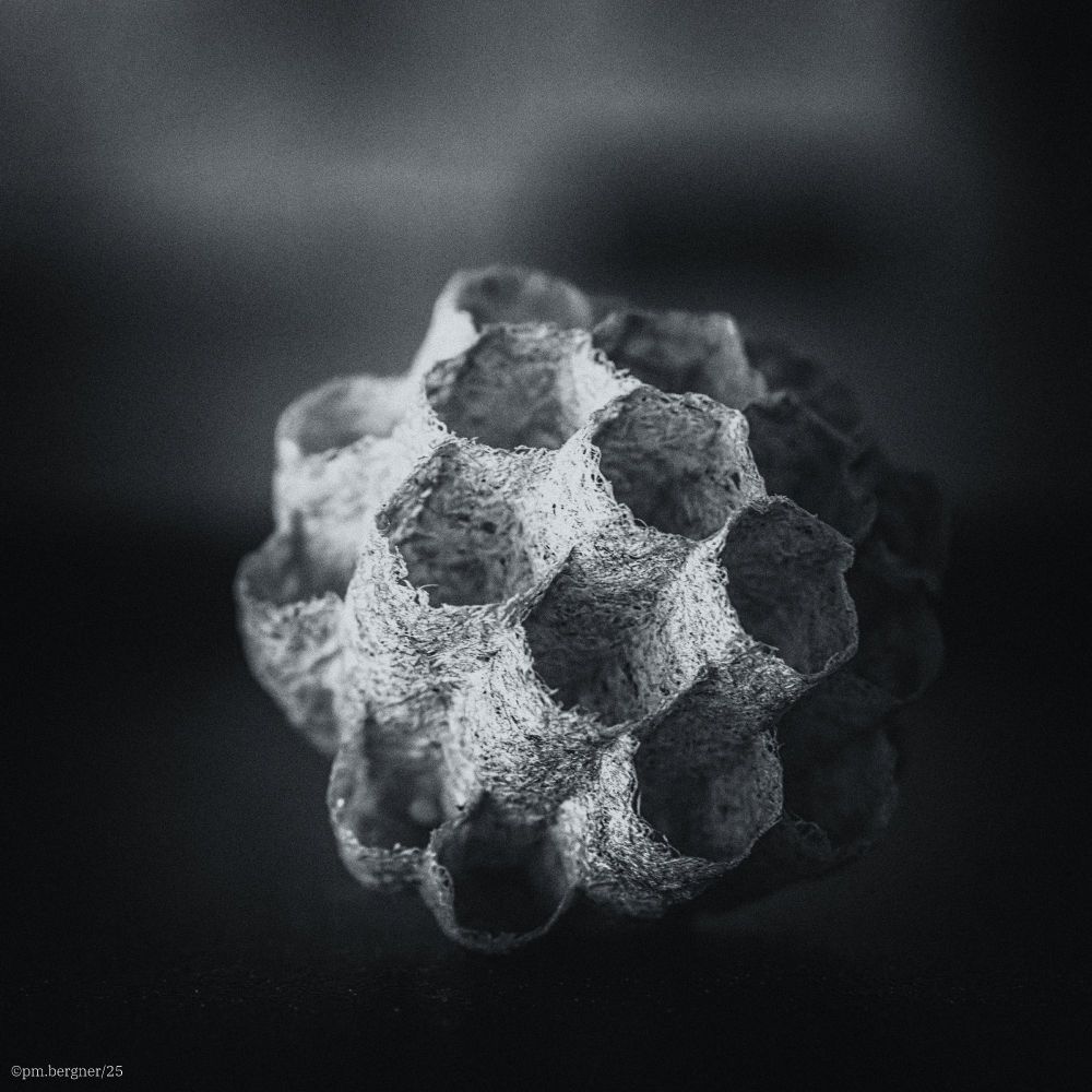 Square cyan-colored black photograph of an open wasp nest in close-up