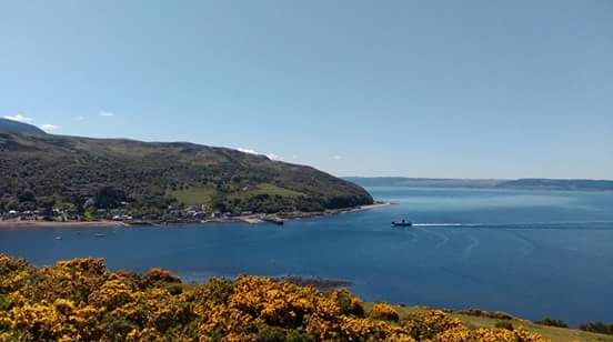 Stood in the sunshine looking over the yellow gorse bushes from high in the hills above Lochranza.
The small ferry can be seen arriving at the slip on a beautiful calm blue sea. 