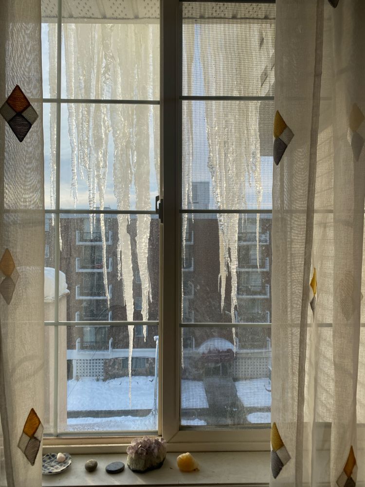 long, thick icicles hang right outside a window