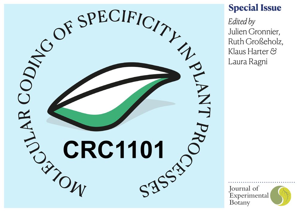 Front cover of a postcard to promote an upcoming special issue of the Journal of Experimental Botany titled "Molecular Coding of Specificity in plant Processes". The issue will be edited by Julien Gronnier, Ruth Großeholz, Klaus Harter and Laura Ragni. The image depicts the logo of CRC 1101 “Molecular Encoding of Specificity in Plant Processes“ - carried by groups of 3 German Universities and funded by the DFG, deals with the challenge of understanding specificity in plant processes by application of methods reaching from structure determination, high-end spectromicroscopy and biochemistry over forward and reverse genetics to big data science and computational modelling. This special issue will summarize some recent advances made by CRC 1101 members but also welcomes contributions from colleagues working in this research area.
