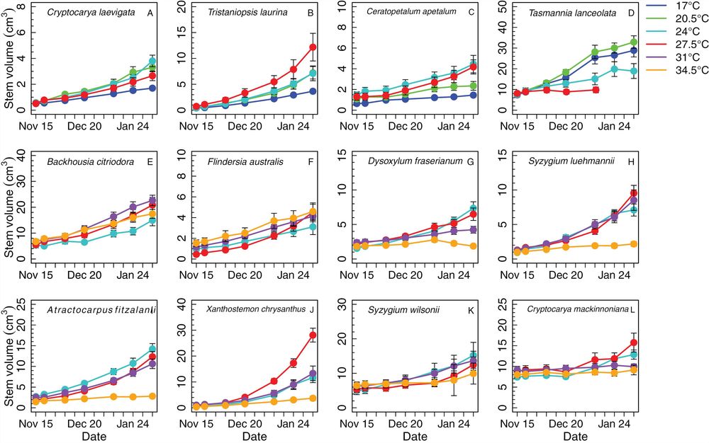 Fig. 1.The stem volume (cm3) growth of seedlings of rainforest tree species during the experiment under different growth temperatures. Species were of temperate (A–D), subtropical (E–H), and tropical (I–L) origin along the eastern coast of Australia. Points reflect the mean and 1 standard error from 10 replicate plants. Growth temperatures are indicated in different colours with cyan (24 °C) and red (27.5 °C) colours being common across all species. Results reflect surviving species only, with fewer replicates in the 34.5 °C group: two replicates of Syzygium wilsonii, four replicates of Dysoxylum fraserianum, and five replicates of Cryptocarya mackinnoniana and Syzygium luehmannii. Tasmannia lanceolata experienced total mortality at 27.5 °C after 2 months.