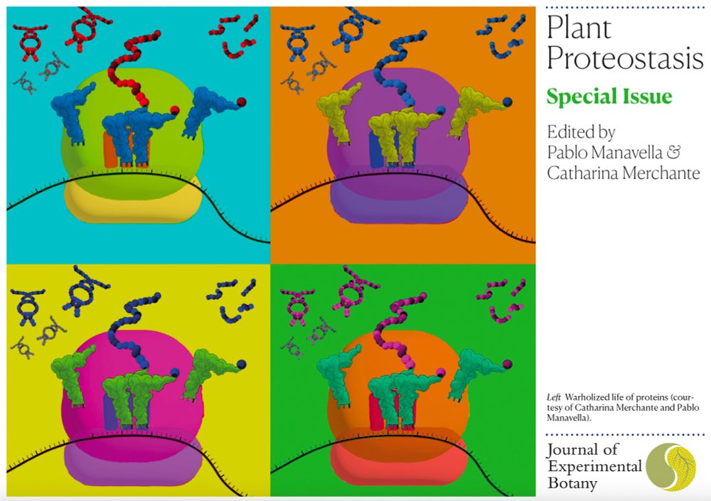 Front cover of a postcard to advertise an upcoming special issue of the Journal of Experimental Botany titled 'Plant Proteostasis'. The editors are Pablo Manavella and Catharina Merchante. The image shows a cartoon representation of the life of proteins, in the style of Andy Warhol (courtesy of Catharina Merchante and Pablo Manavella).