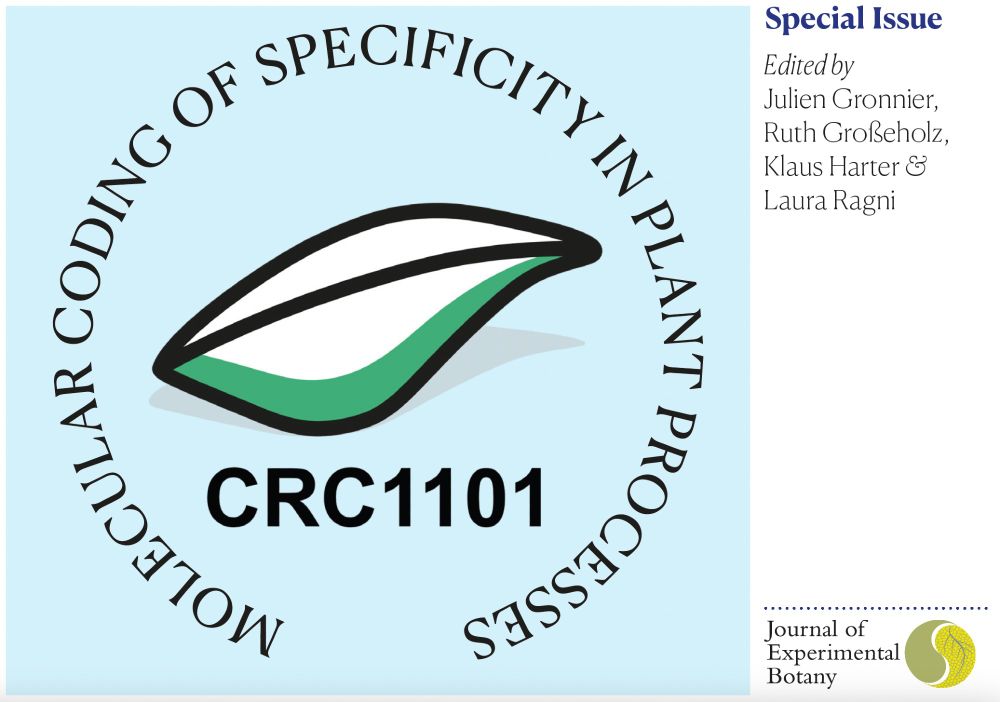 Front cover of a postcard to promote an upcoming special issue of the Journal of Experimental Botany titled "Molecular Coding of Specificity in plant Processes". The issue will be edited by Julien Gronnier, Ruth Großeholz, Klaus Harter and Laura Ragni. The image depicts the logo of CRC 1101 “Molecular Encoding of Specificity in Plant Processes“ - carried by groups of 3 German Universities and funded by the DFG, deals with the challenge of understanding specificity in plant processes by application of methods reaching from structure determination, high-end spectromicroscopy and biochemistry over forward and reverse genetics to big data science and computational modelling. This special issue will summarize some recent advances made by CRC 1101 members but also welcomes contributions from colleagues working in this research area.