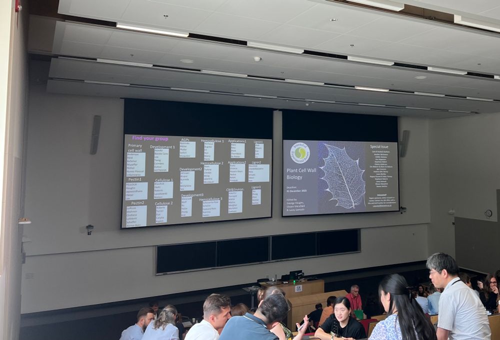 The interactive session at the conference where attendees brain stormed their research questions in small groups. On the presentation screen you can see an ad promoting the JXB special issue on plant cell walls. 