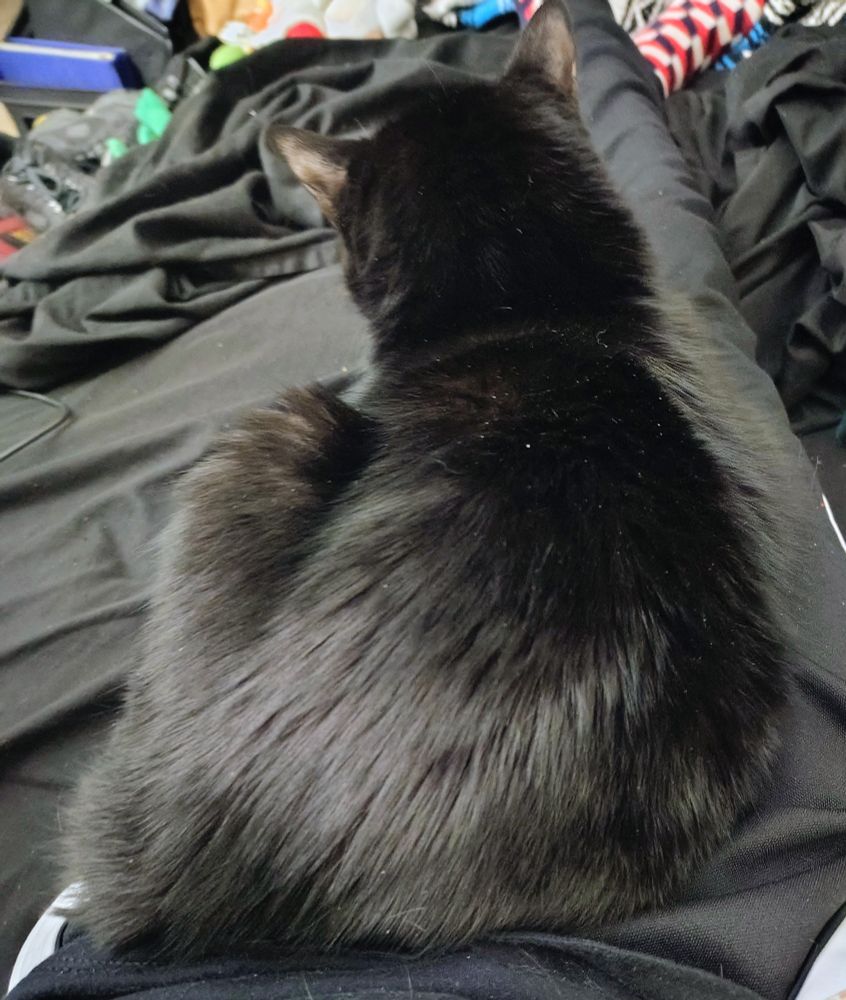 she likes the added camouflage 