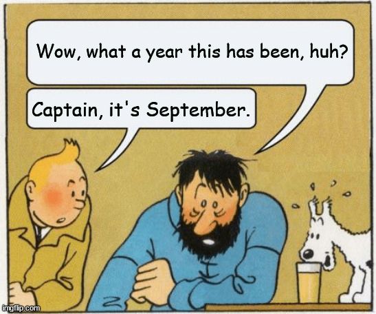 Tintin/Captain meme.
Captain:"Wow, what a year this has been, huh?"
Tintin:"Captain, it's September."