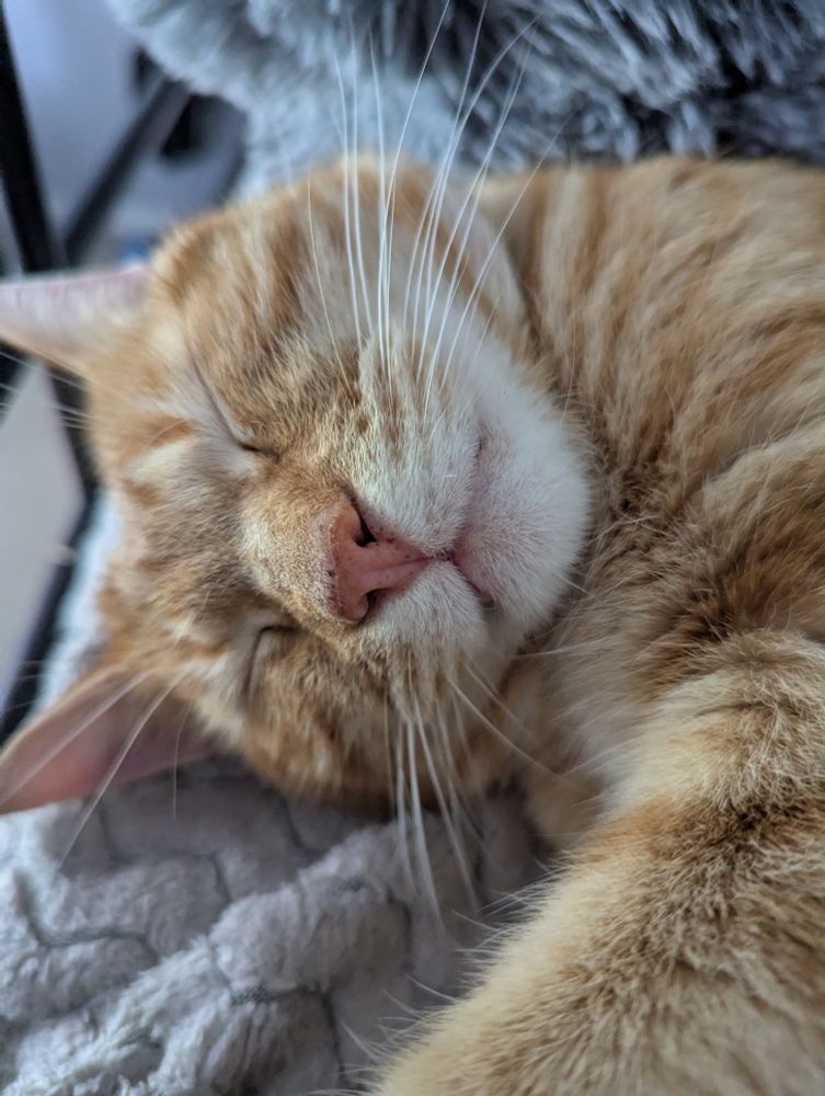 Close shot of he eepin
