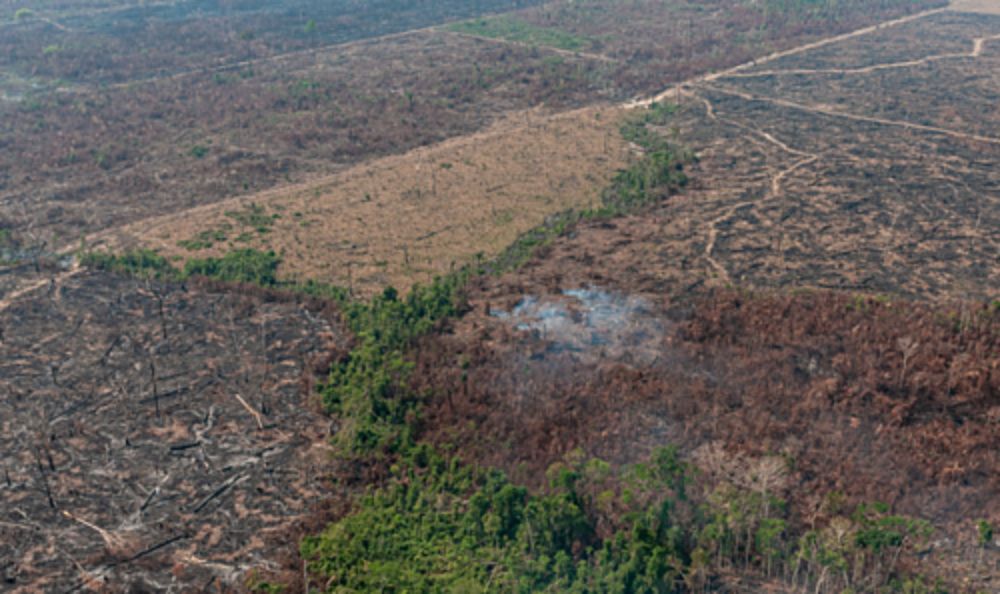 Eduardo Leite cortou ou alterou quase 500 pontos do Código Ambiental do RS em 2019 | Brasil de Fato