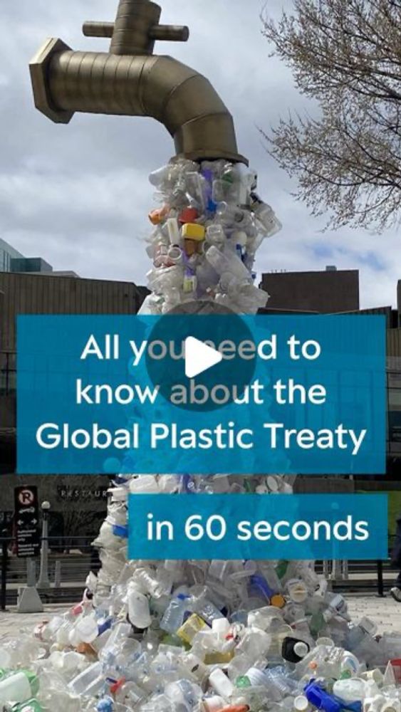 Monterey Bay Aquarium on Instagram: "This year, we’re making big moves in the fight against plastic pollution! 🌍✨ Countries, scientists, policymakers, and industries are teaming up to negotiate the Gl...