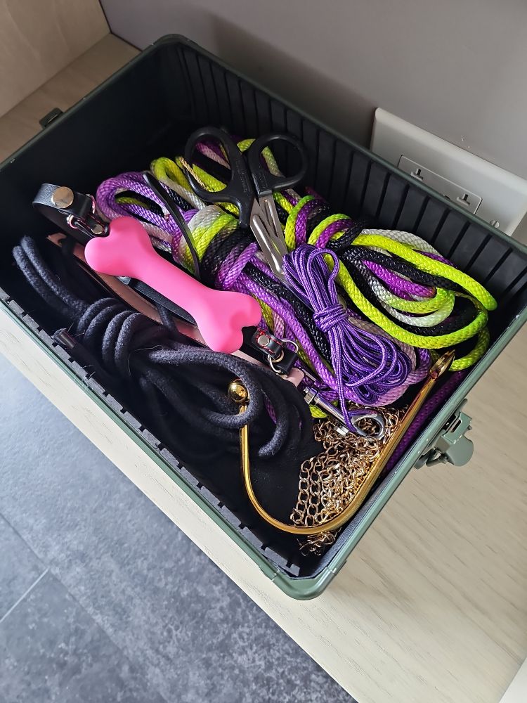 Shibari rope, and anal hook and a pink bone gag. 