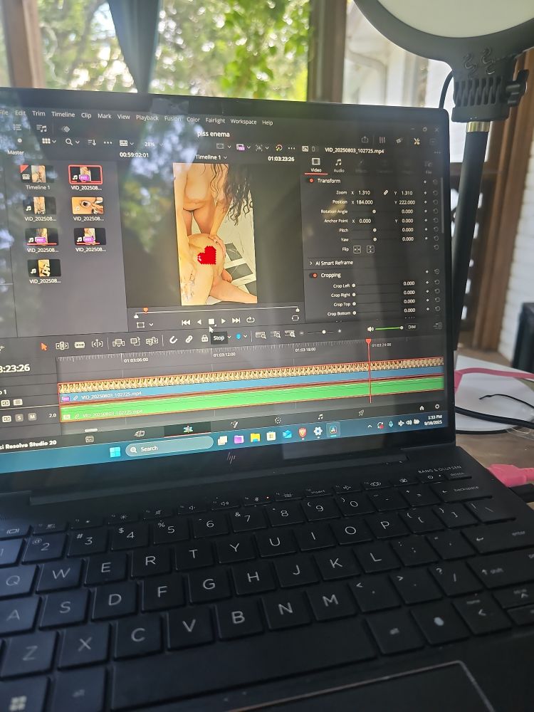 A picture of Vera's computer screen set on a table on the screened in porch. A video editing program is up with an image of Violet on all fours in a shower, Vera standing over them, bent at the vibe waist and spreading Violet's cheeks open. 