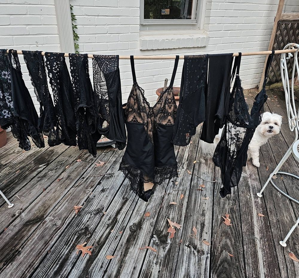 Black lace lingerie hanging on a line on Vera's porch, a white shih tzu peeking out from behind the line looking at the camera mid woof. 