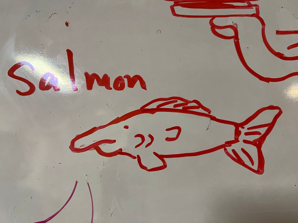 a badly draw picture of a salmon