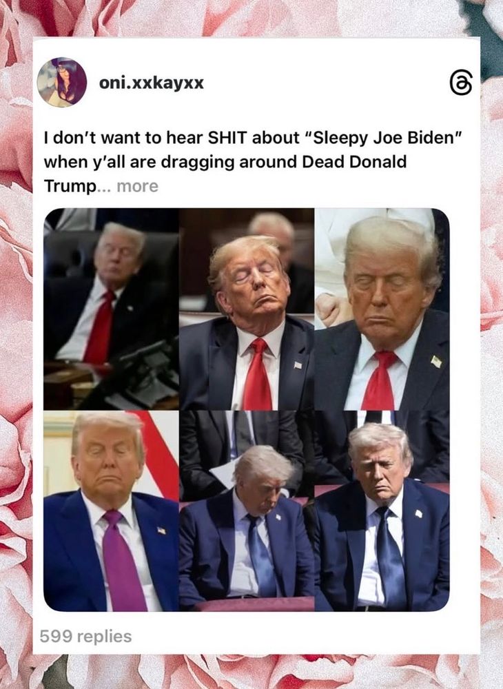 Six photos of Trump sleeping during public events. 

Meme quote: “I don't want to hear SHIT about "Sleepy Joe Biden" when y'all are dragging around Dead Donald Trump...”