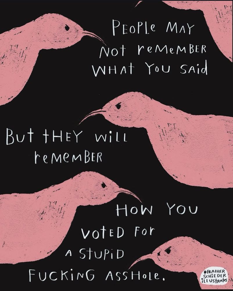 PEoPle MAY
Not reMeMBER
WHAt YoU SAid
But tHeY will reMeMBER
How You
VOTED For
A STUPiD
FUCKING ASSHOLe.
•HEAtHER
SCHiEDER illustRates.