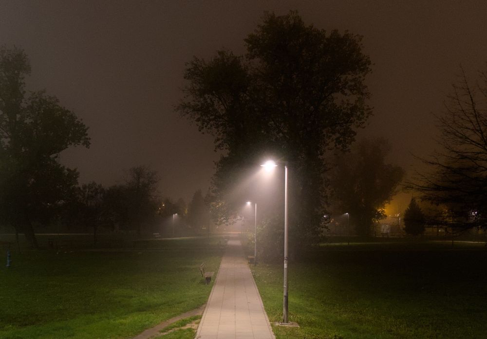 A lamp lights a path through a park on a foggy night in Zagreb.