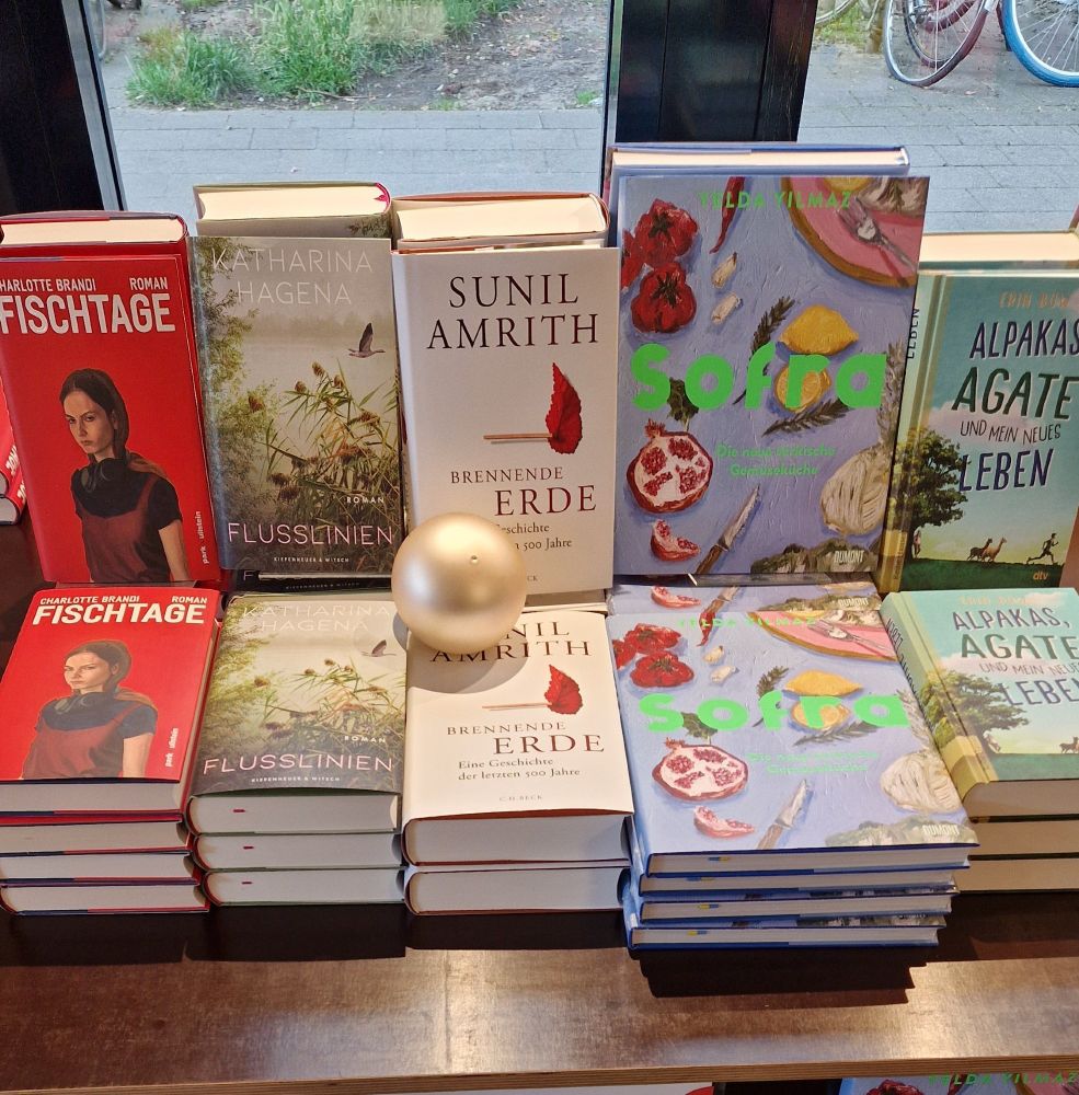 Fünf Buchempfehlungen des Monats Juni!