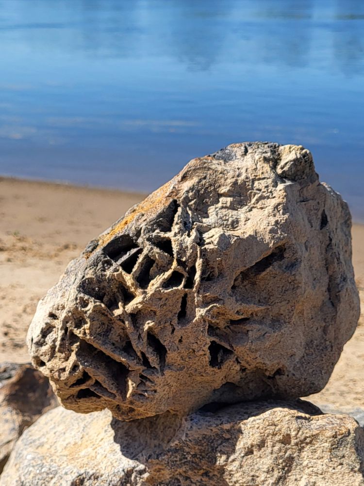 Nahaufnahme eines größeren Steins mit zahlreichen teil eckigen Löchern am Strand eines Flusses.