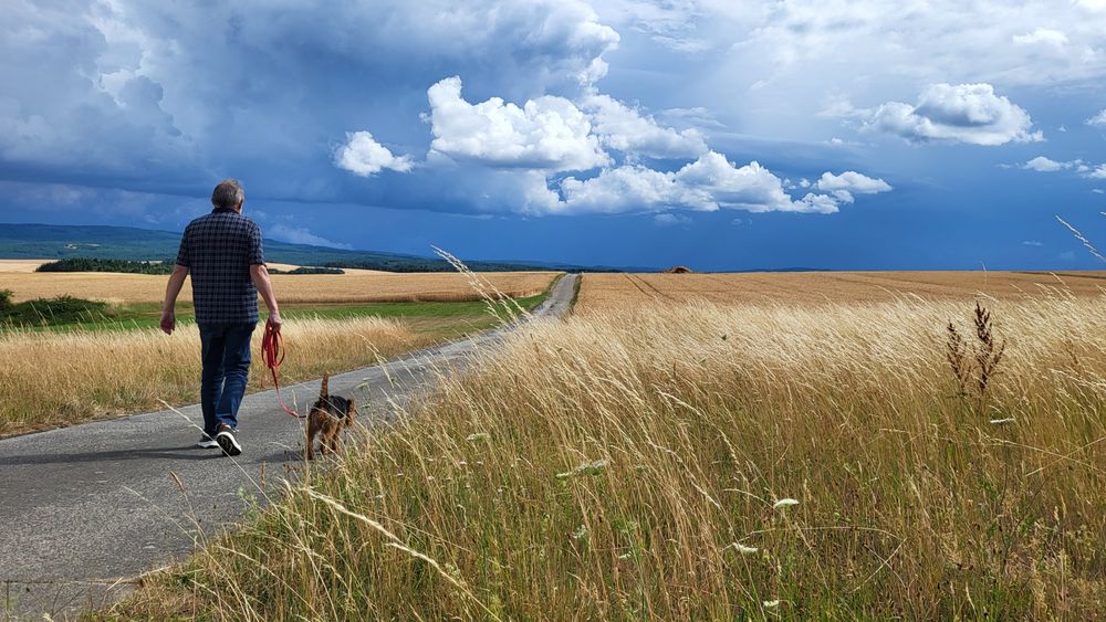 Querformat. Ein Weg von links unten bis zum Horizont in der Bildmitte. Links und rechts Getreidefelder, ganz vorn Gras. Dunkler bewölkter Himmel. Auf dem Weg ein Mann mit Hund laufend Richtung Horizont. 