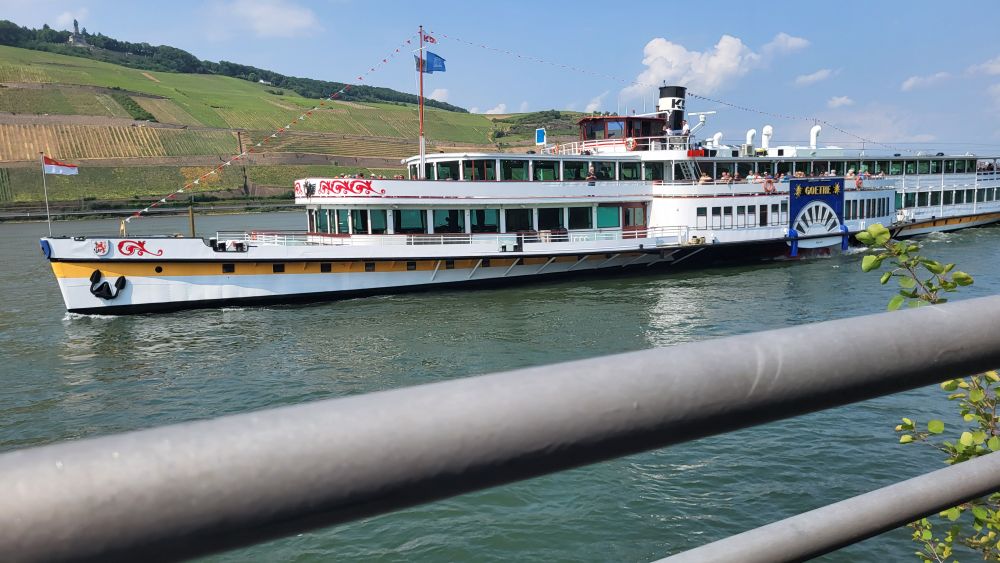Ein weißer Ausflugsdampfer auf dem Rhein, nach links nah am Ufer fahrend, kurz vor dem Anliegen. Am anderen Ufer, ganz klein am oberen Rand links ist noch das Niederwalddenkmal zu erkennen. 