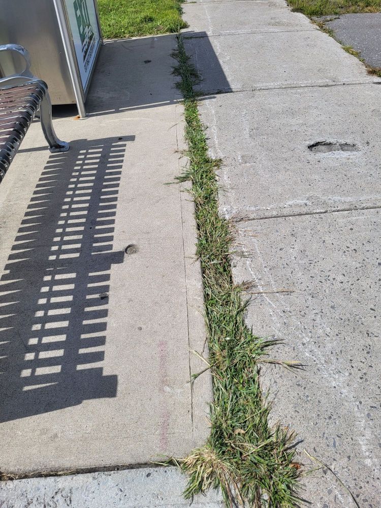 On the left is the shadow of a park bench. In the centre a 5 cm grass filled gap exists between the bench concrete pad and the sidewalk. The sidewalk on the right is in very good condition, smooth and flat 
