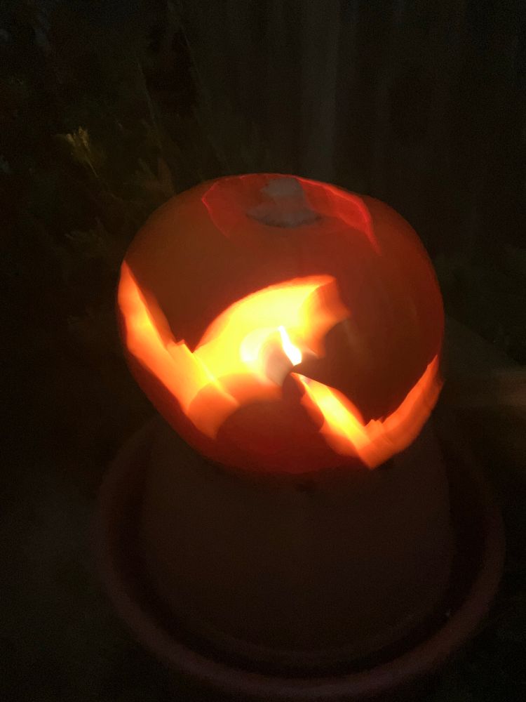 A lit pumpkin with bat cutouts outside in a dark garden.