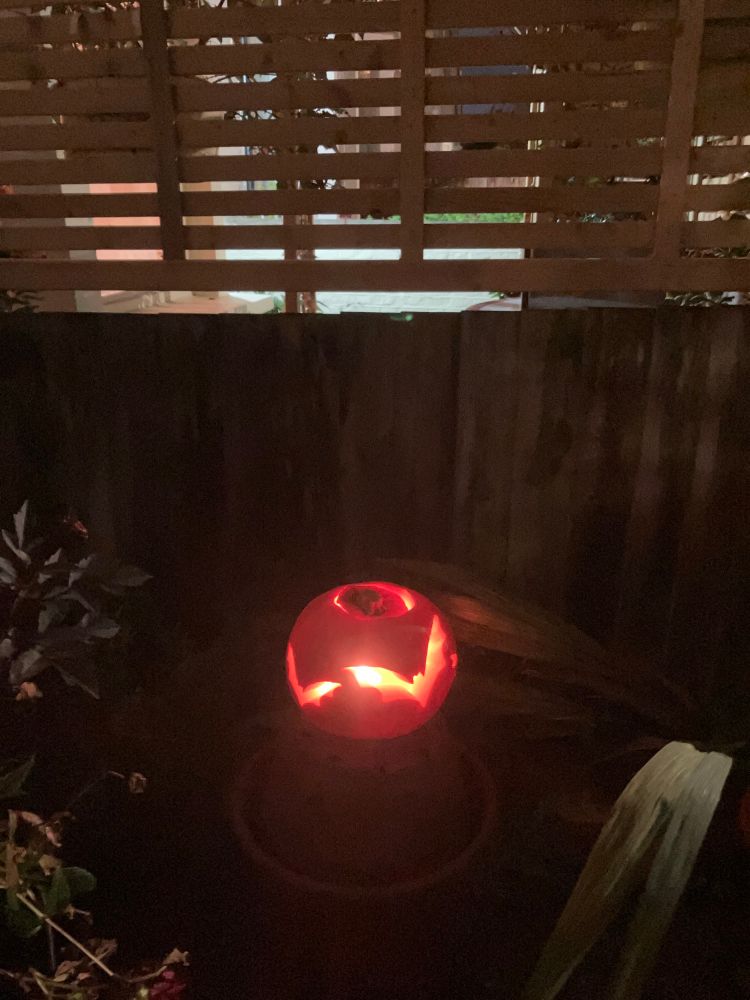 Vinnieโs bat pumpkin, lit with a tea light in his front garden on a windy night.