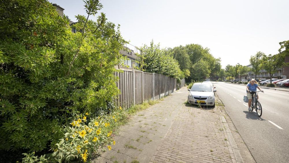 Brieven van lezers zijn welkom. Houdt u er rekening mee dat de lengte beperkt blijft tot 250 woorden en dat het een onderwerp betreft waarover de krant heeft bericht. De redactie heeft het recht bijdragen te weigeren of in te korten. Insturen kan via e-mail redactie@leidschdagblad.nl met vermelding van uw postadres.