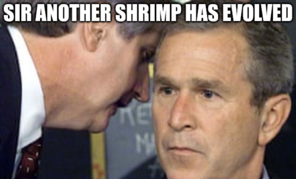 An advisor whispering to George W Bush “sir another shrimp has evolved”