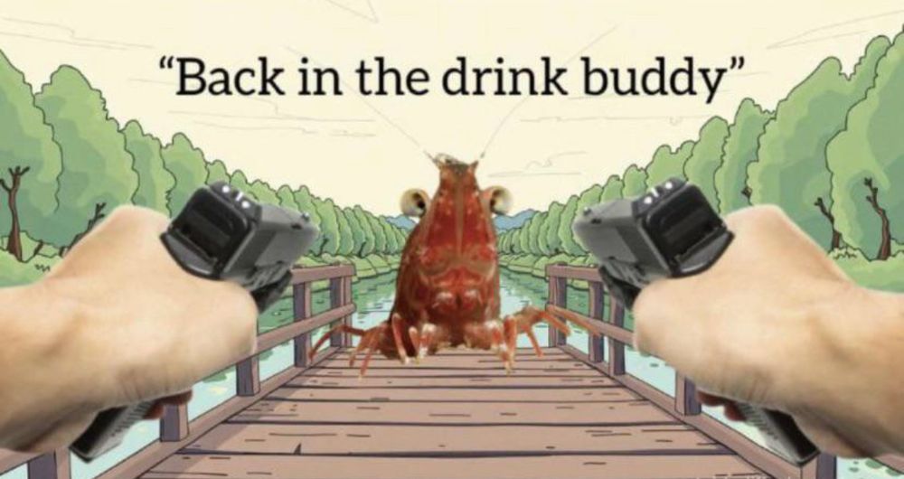 A meme with a photoshopped shrimp at the end of a dock climbing out of the water. Two hands holding guns from the readers POV are pointing at it with the caption “back in the drink buddy”