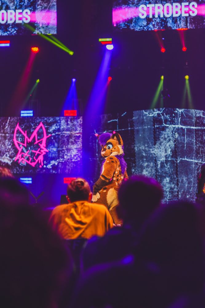 Strobes dancing at the FWA dance comp