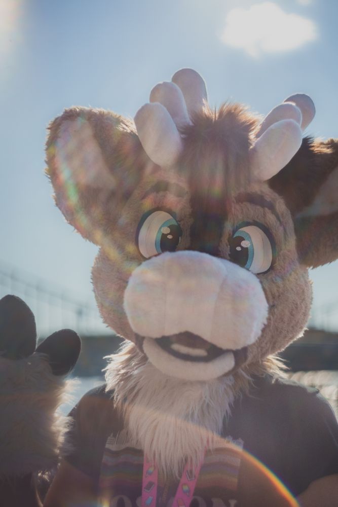 PJ waving at the camera with the Rachel Carlson bridge behind and lens flare
