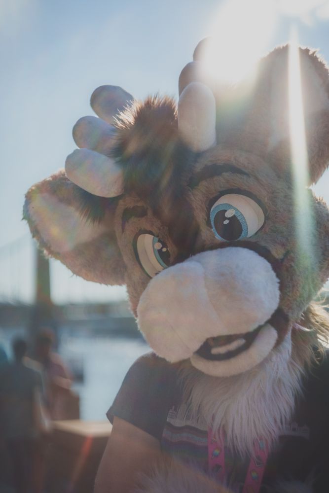 PJ tilting down looking at the camera with the Rachel Carlson bridge behind and lens flare and people at the background 